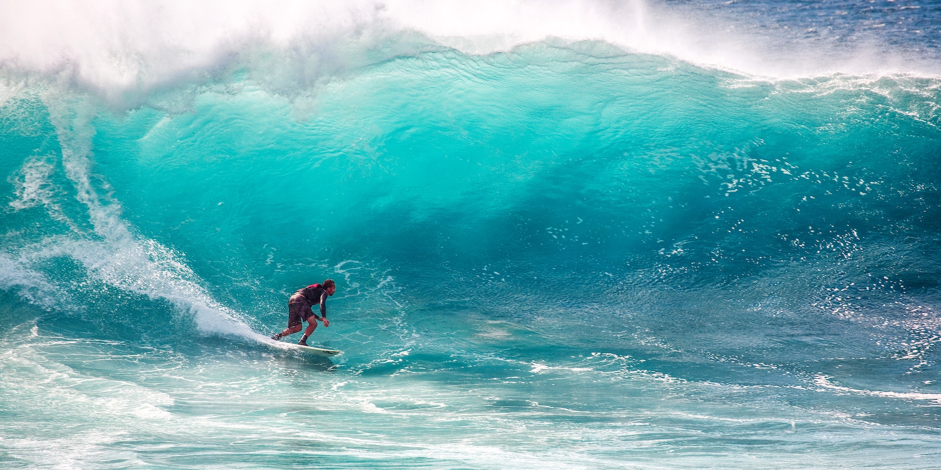 the surfer